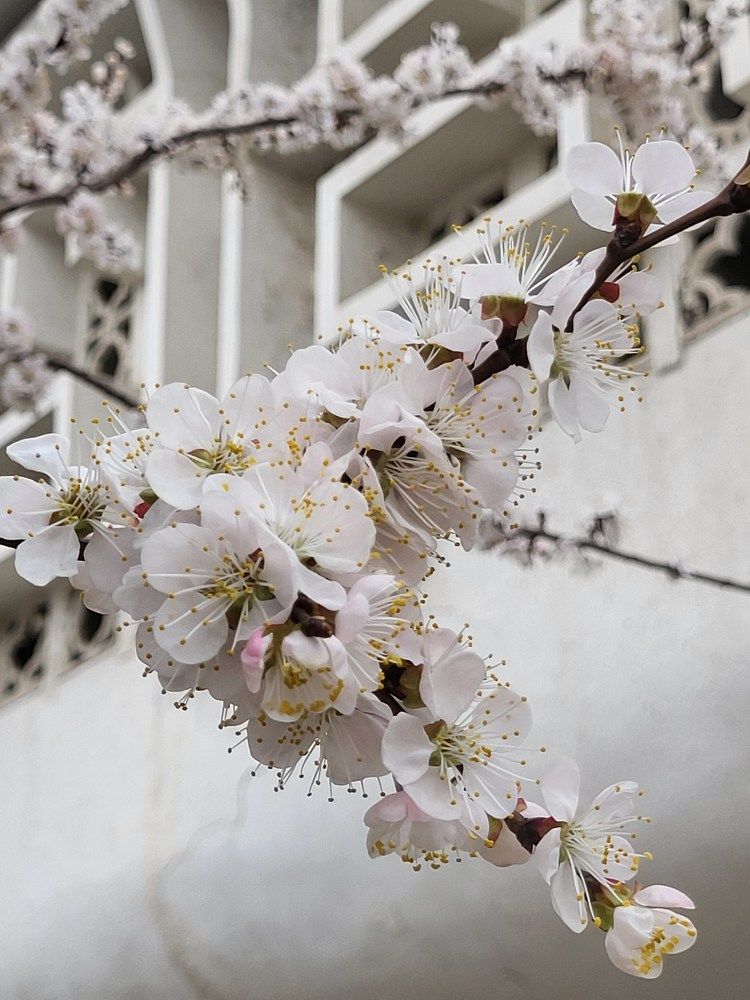 Photograph by Анна