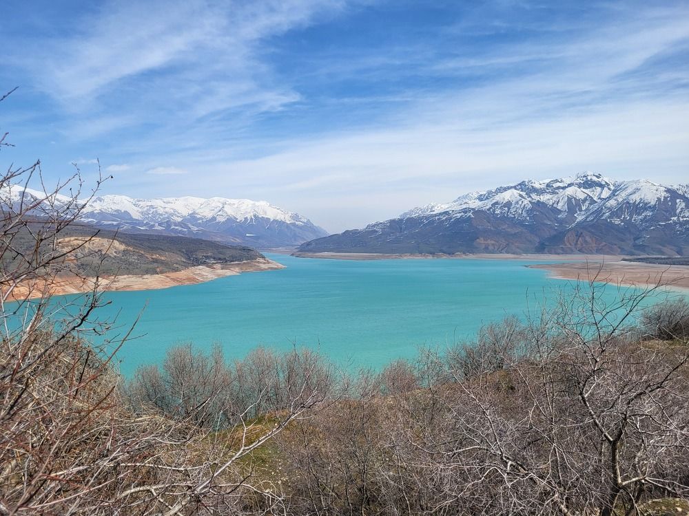 Photo #9009978