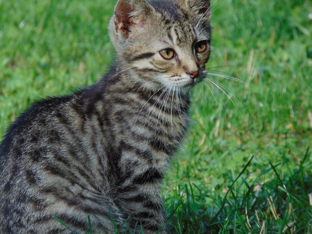 Photograph by Anna Veľasová