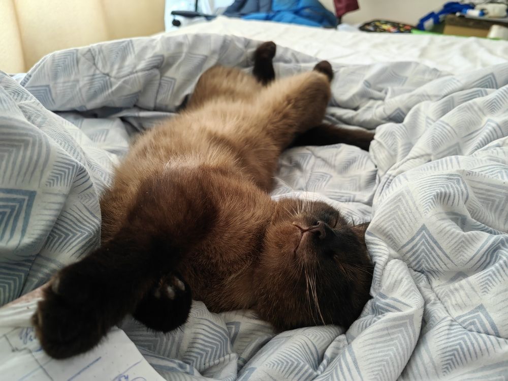 Photograph by Наталья Сергеевна Крылова