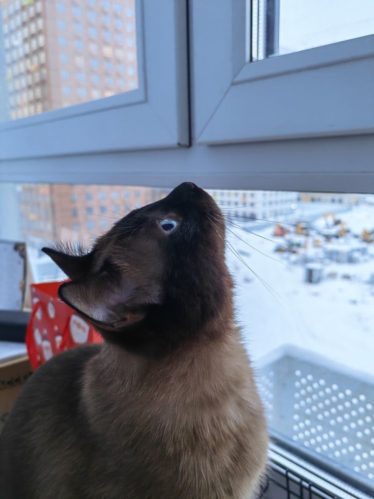 Photograph by Наталья Сергеевна Крылова