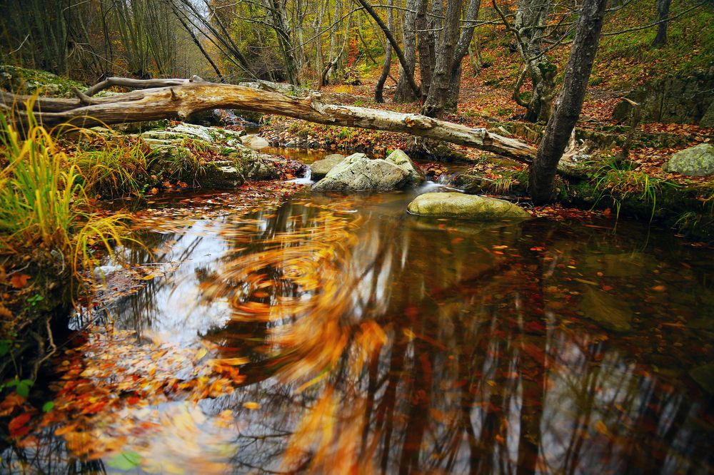 Photograph by Yasar Sudar