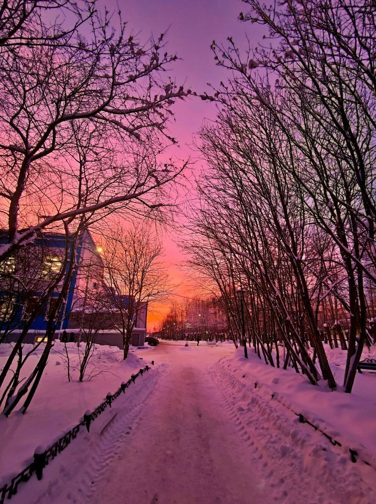 Photograph by Dim Р