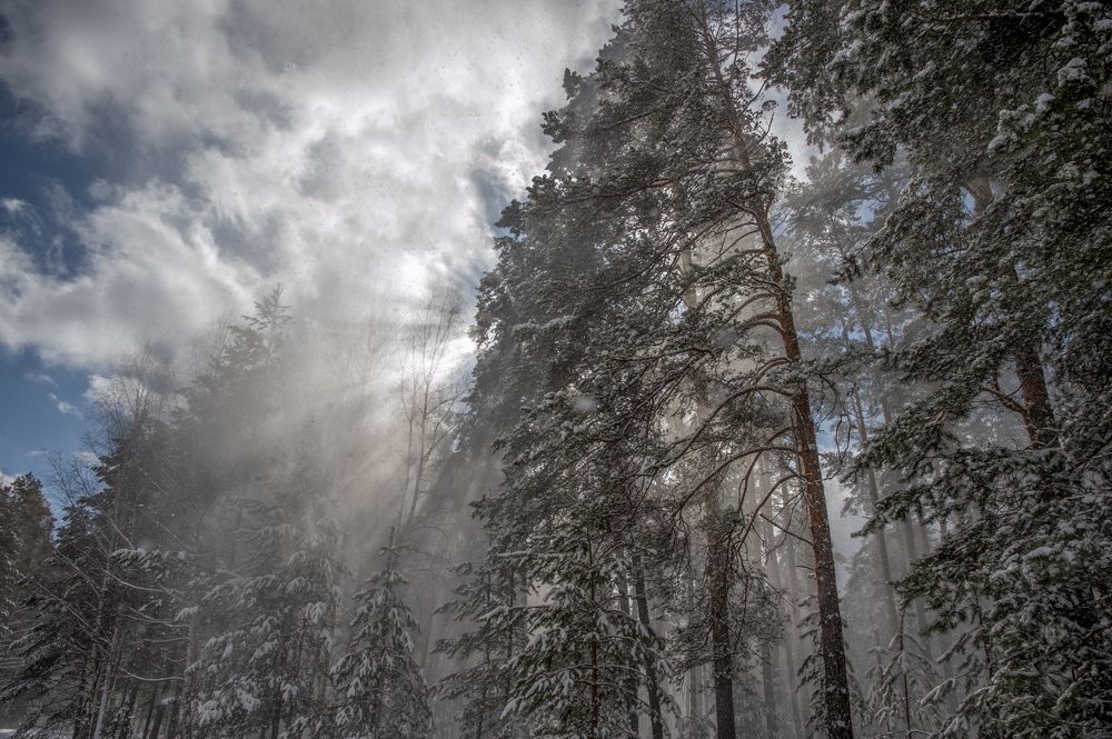 Photograph by АНДРЕЙ АБАКУМОВ