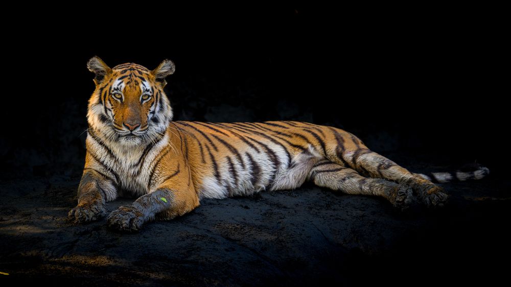 Photograph by Nabarun Majumdar