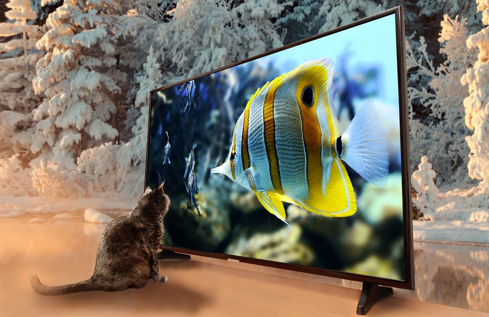 Photograph by Василий Лазарев