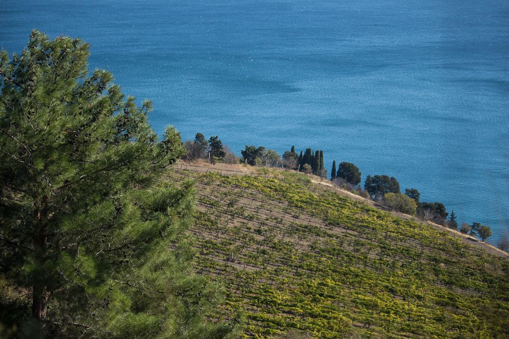 Photograph by Елена Шахова