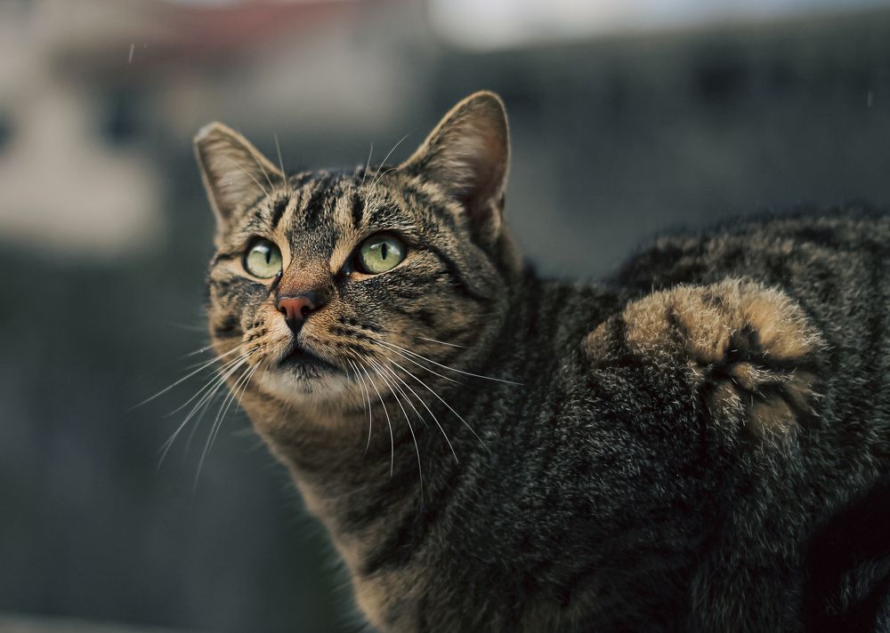 Photograph by Вероника Антипова