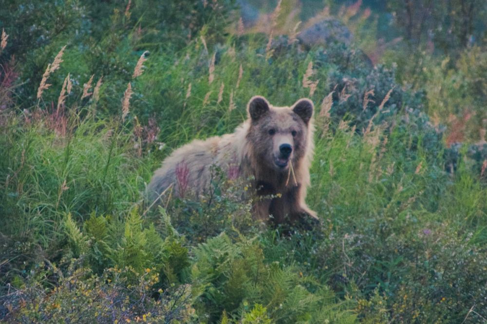 Photograph by Ирина Волгина