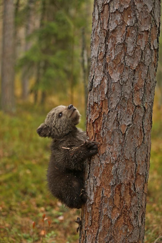 Photograph by Юрий Кетель