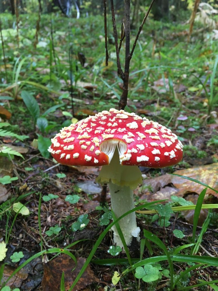 Photograph by Александр Сипаров