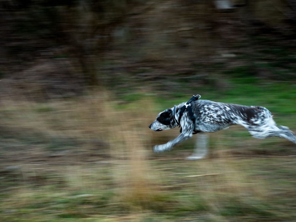 Photograph by Genadi Yakovlev