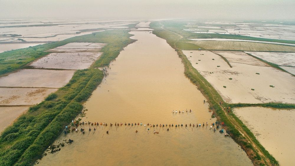 Фотография автора Md shahidul Islam