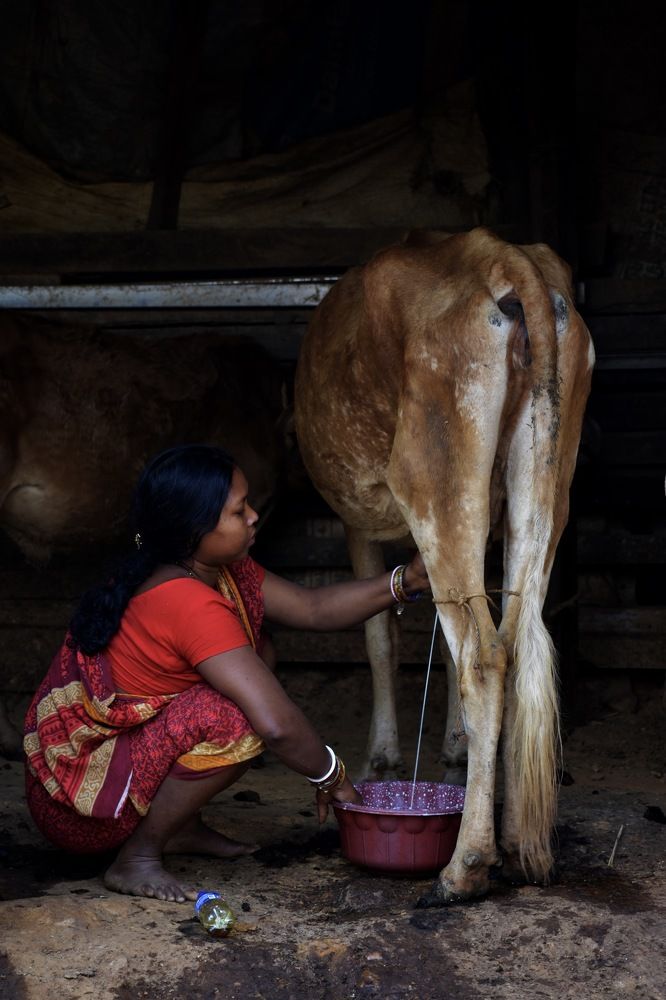 Photograph by Arijit Dey