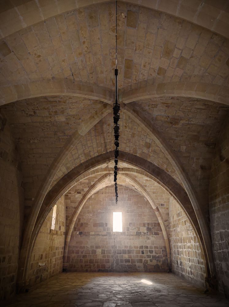 Photograph by Diana-Alexandra Amărinei