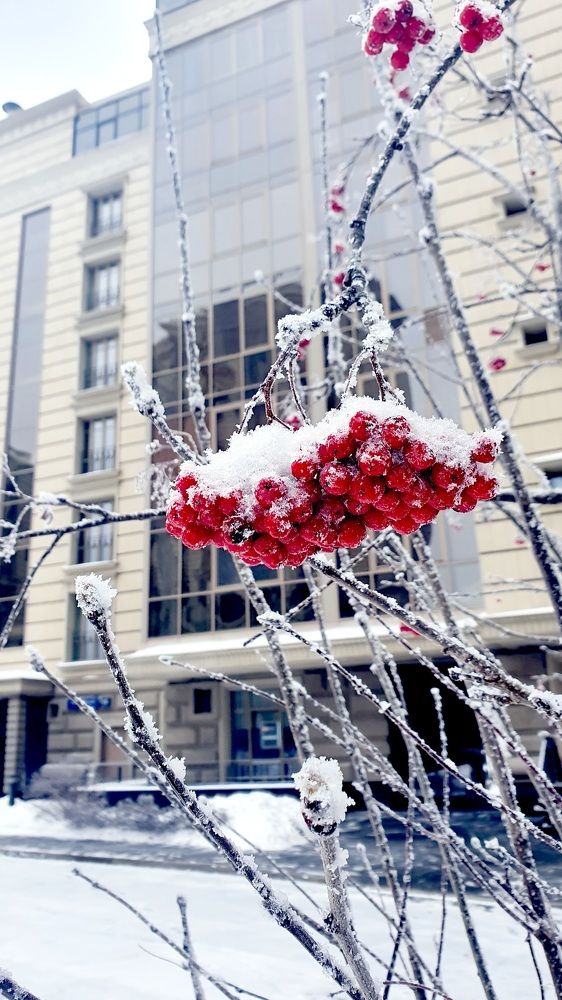 Photograph by Виктория