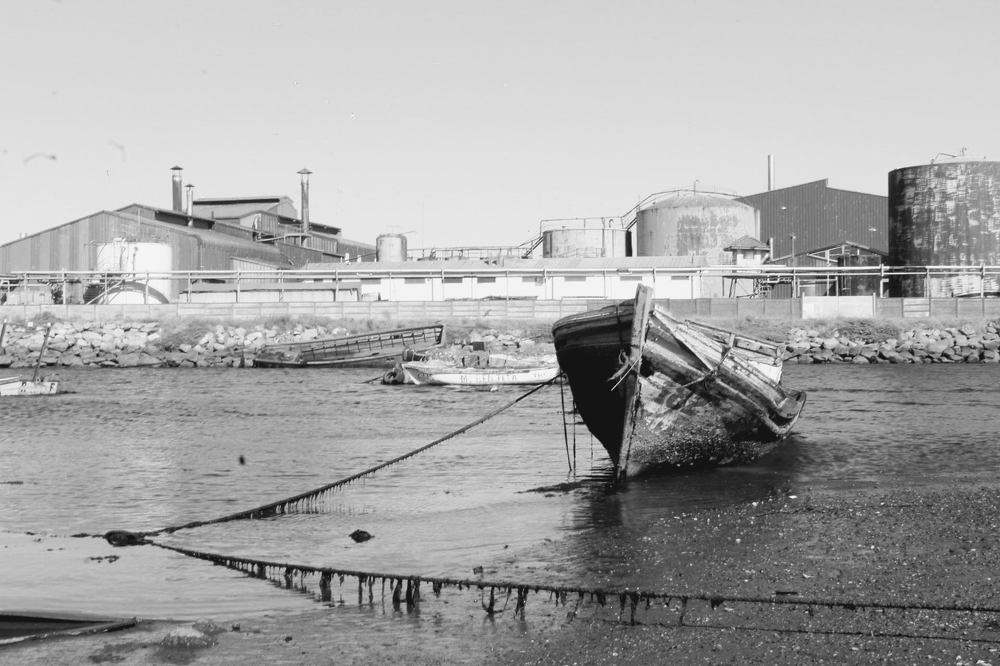 Photograph by Ronald Zambrano