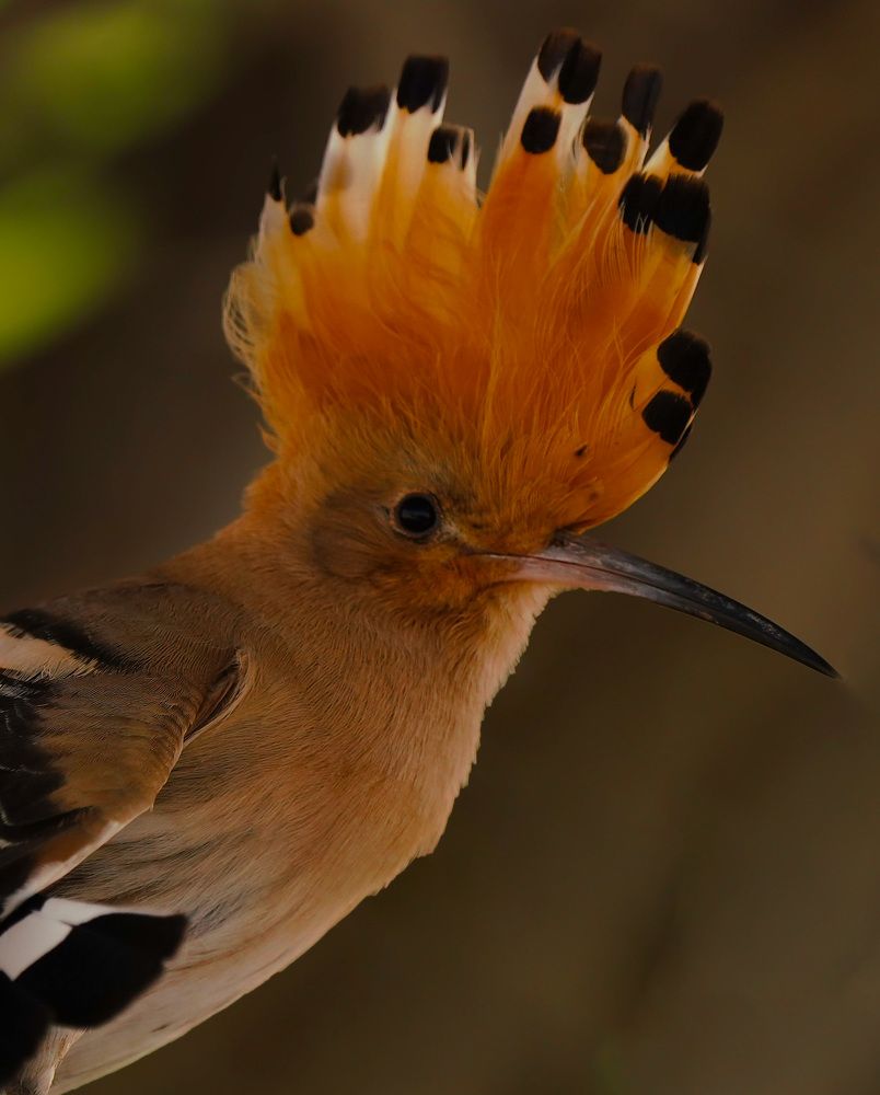 Photograph by miras mc