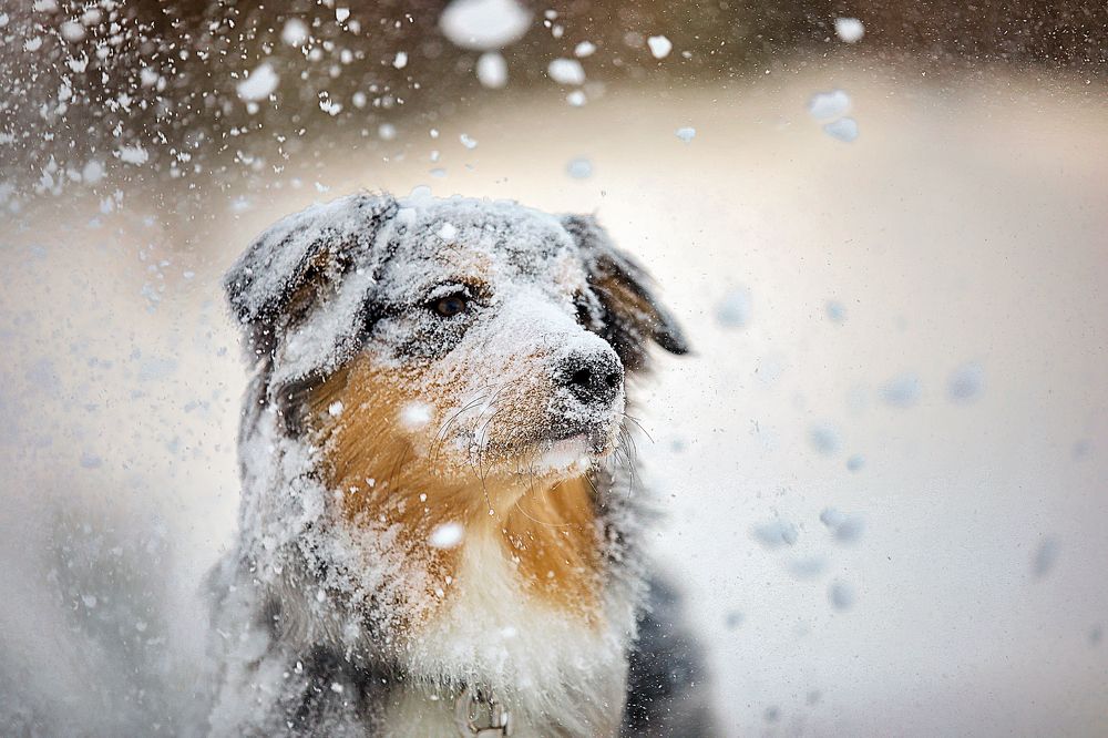 Photograph by Алина Жук