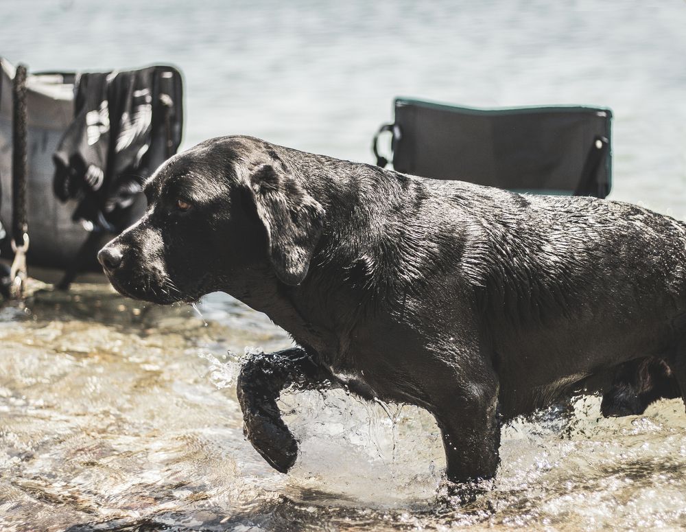 Photograph by Абакар Мирзоев