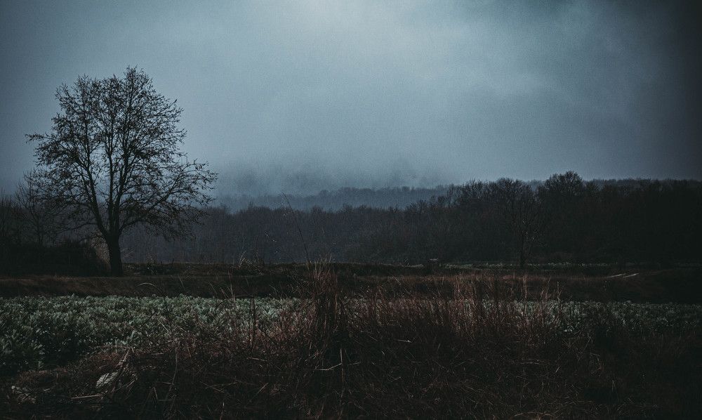 Photograph by Abdollah Fallah