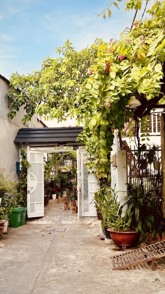 Фотография автора София