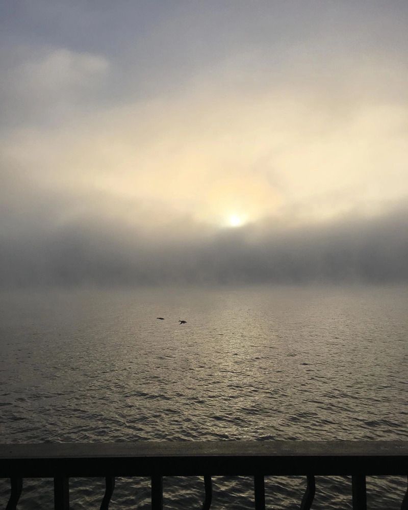 Photograph by Elizaveta