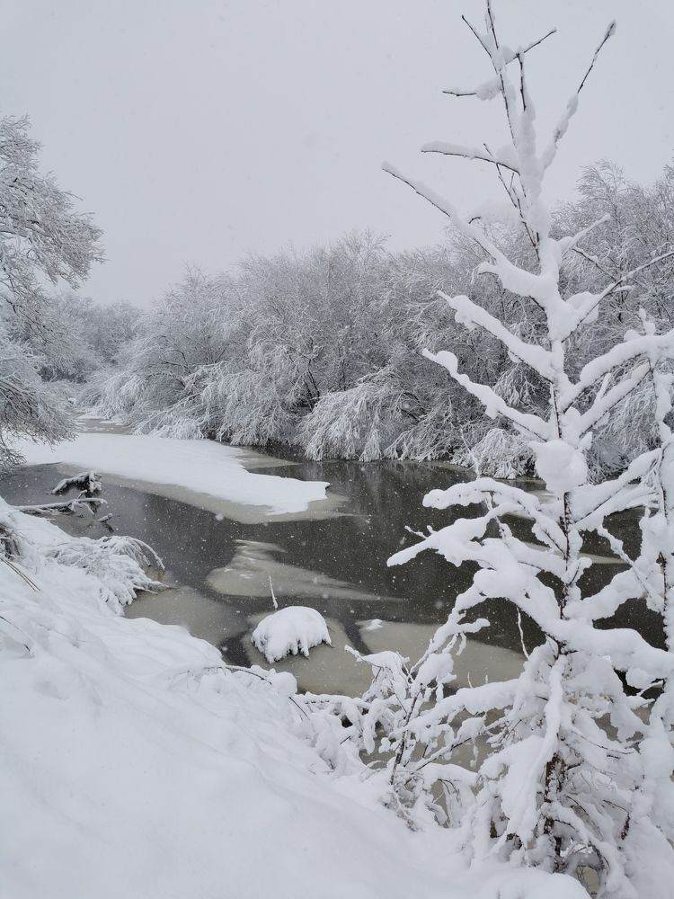 Photograph by Мария Маханько