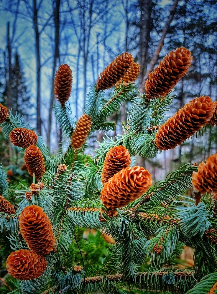 Photograph by Василий Садовский