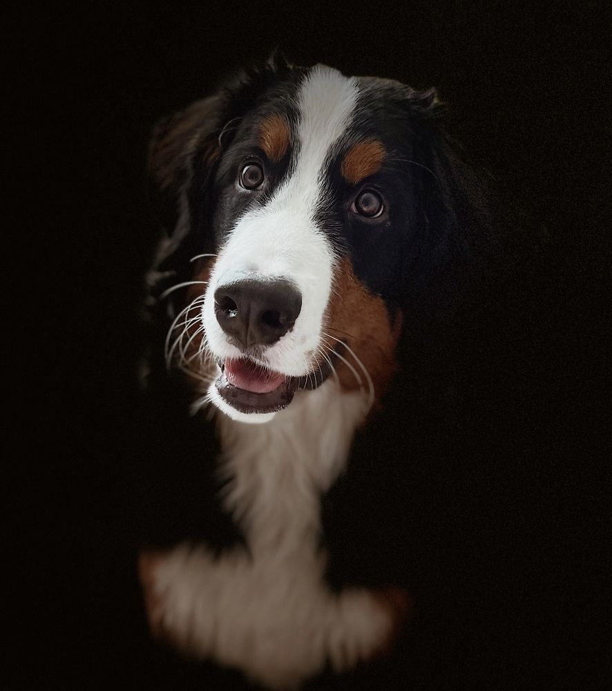 Photograph by Виктория Кузнецова