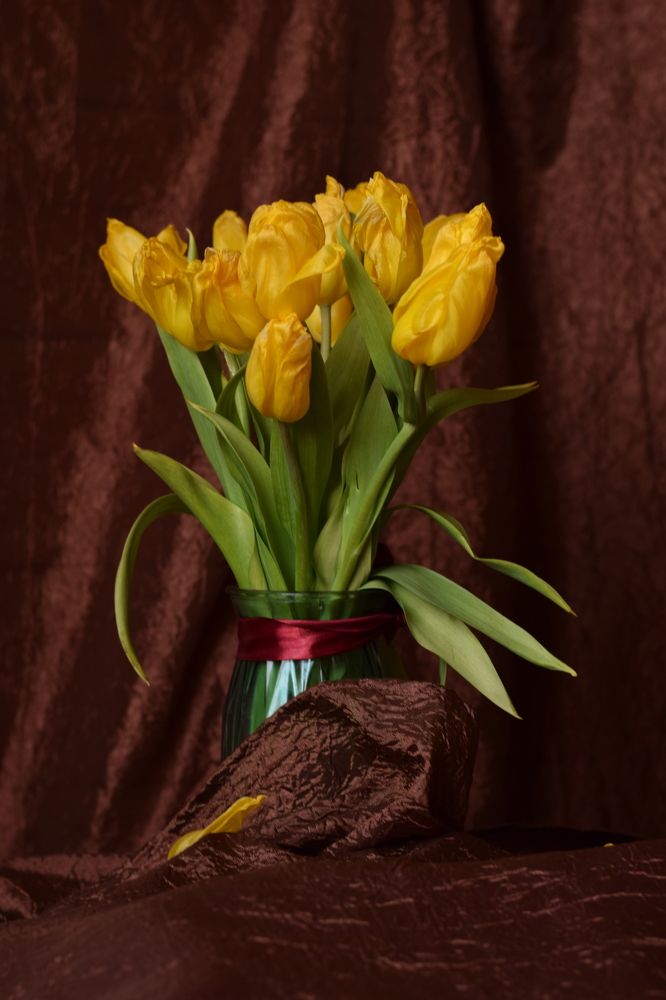 Photograph by Мария Бундакова