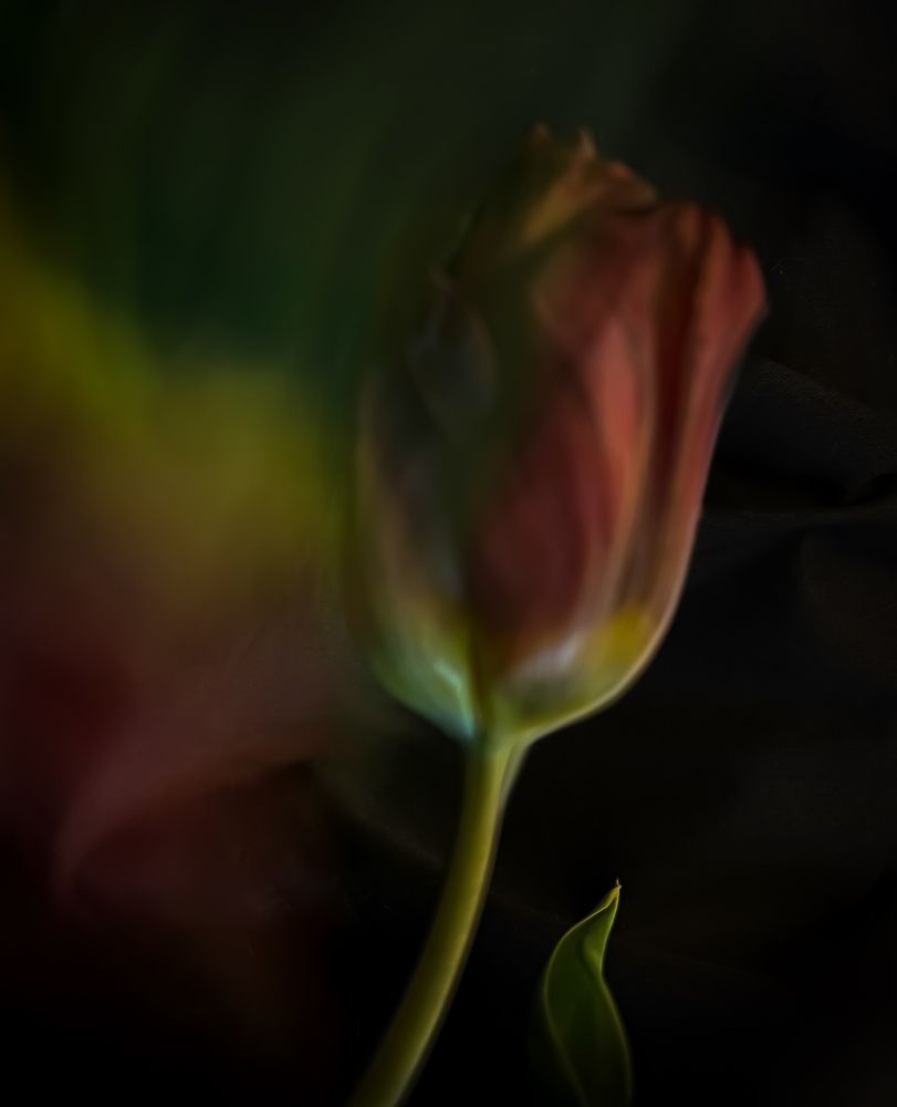 Photograph by T.Ю. Гринько