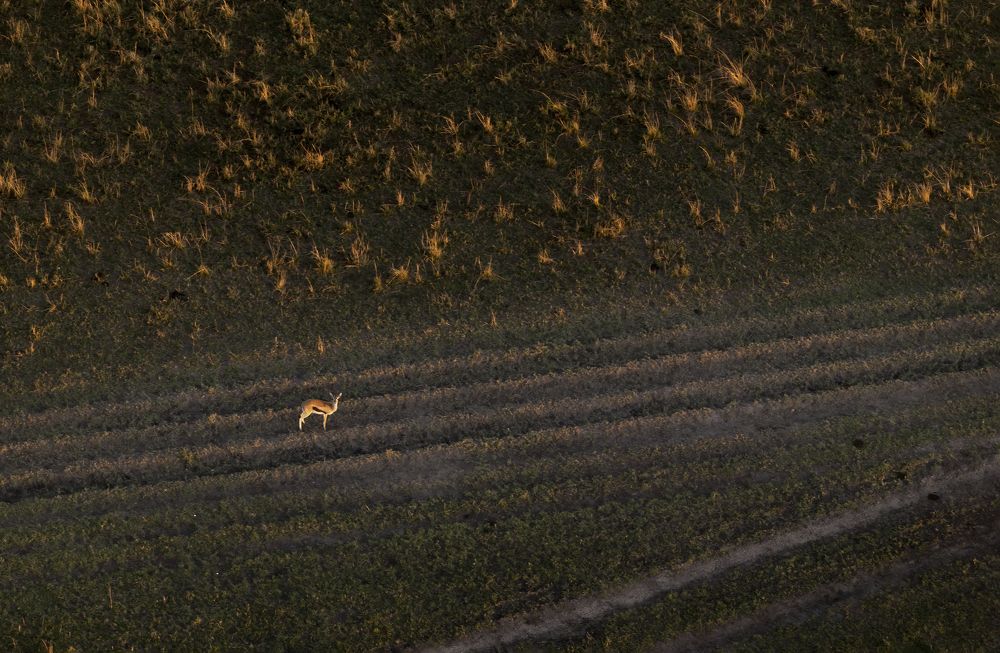 Photograph by  Sajeevkumar