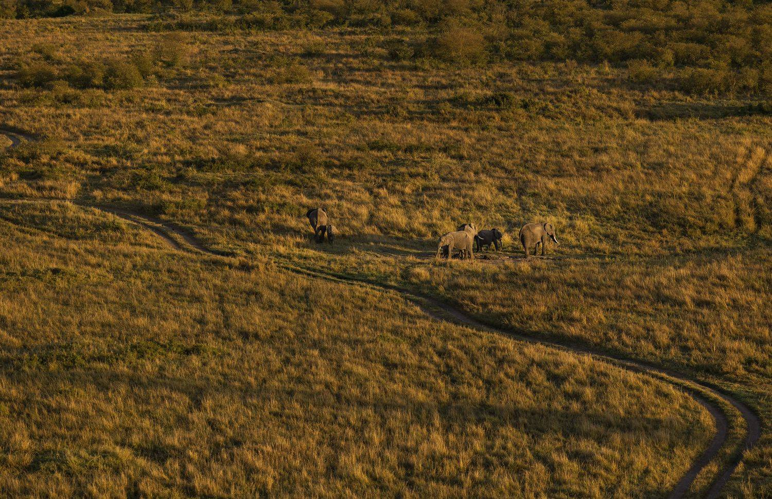 Фотография #9010963