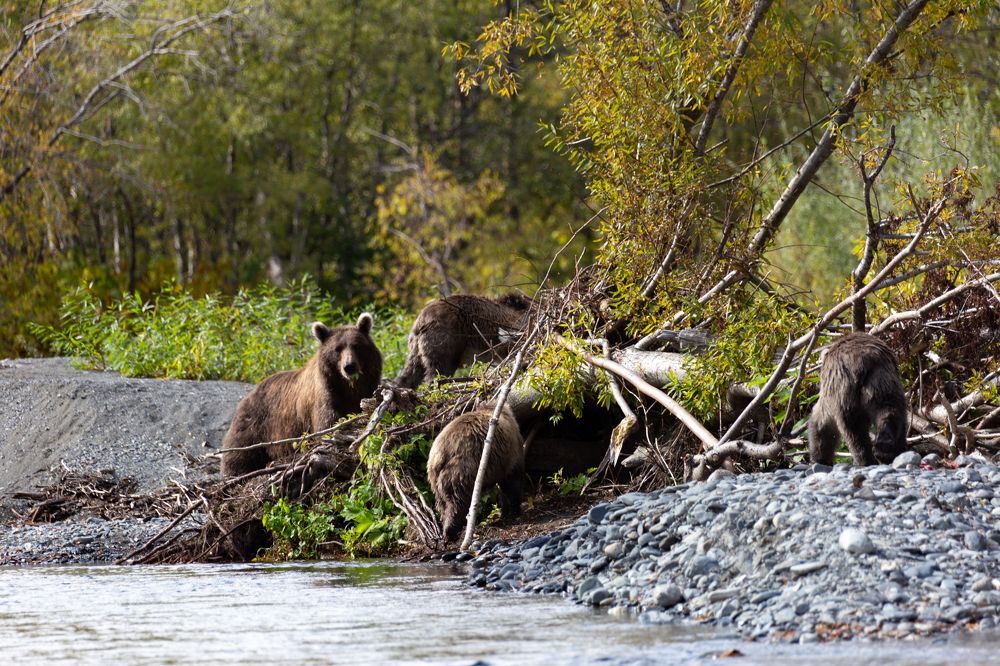 Photograph by Евгений Фонин