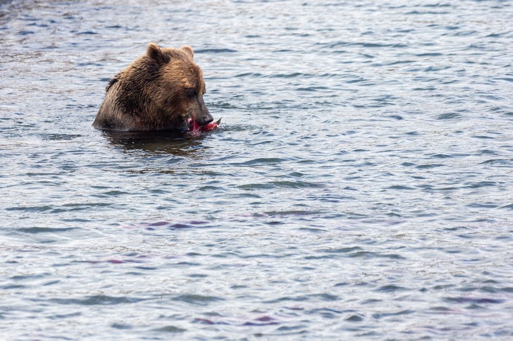 Photograph by Евгений Фонин