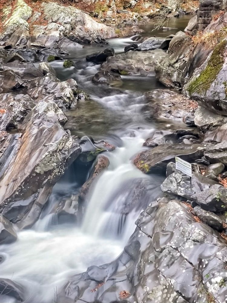 Photograph by Tyler Dewees