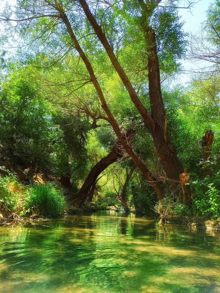 Фотография автора Pourya Darband Yourdshahi
