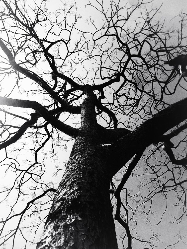 Photograph by MENKA MASIYA