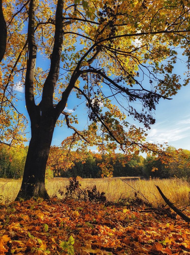 Photograph by Вячеслав Щёголев