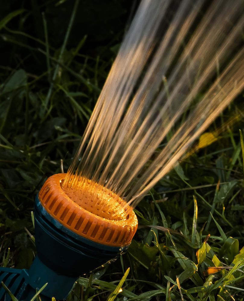 Photograph by Елена