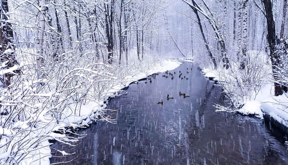 Фотография автора Галина