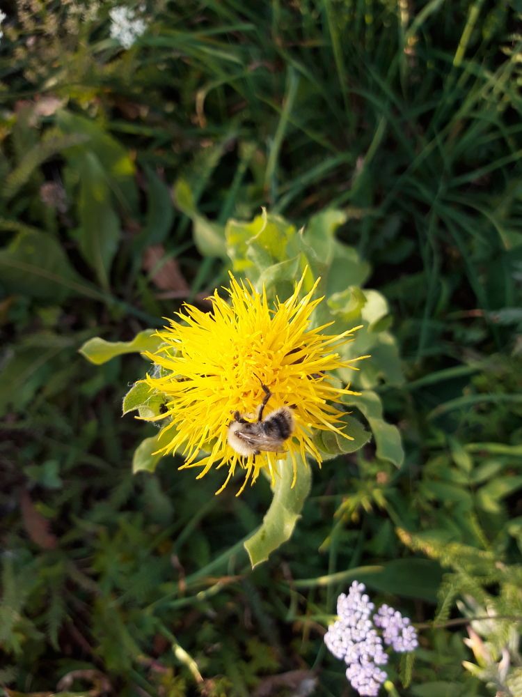 Photograph by Светлана