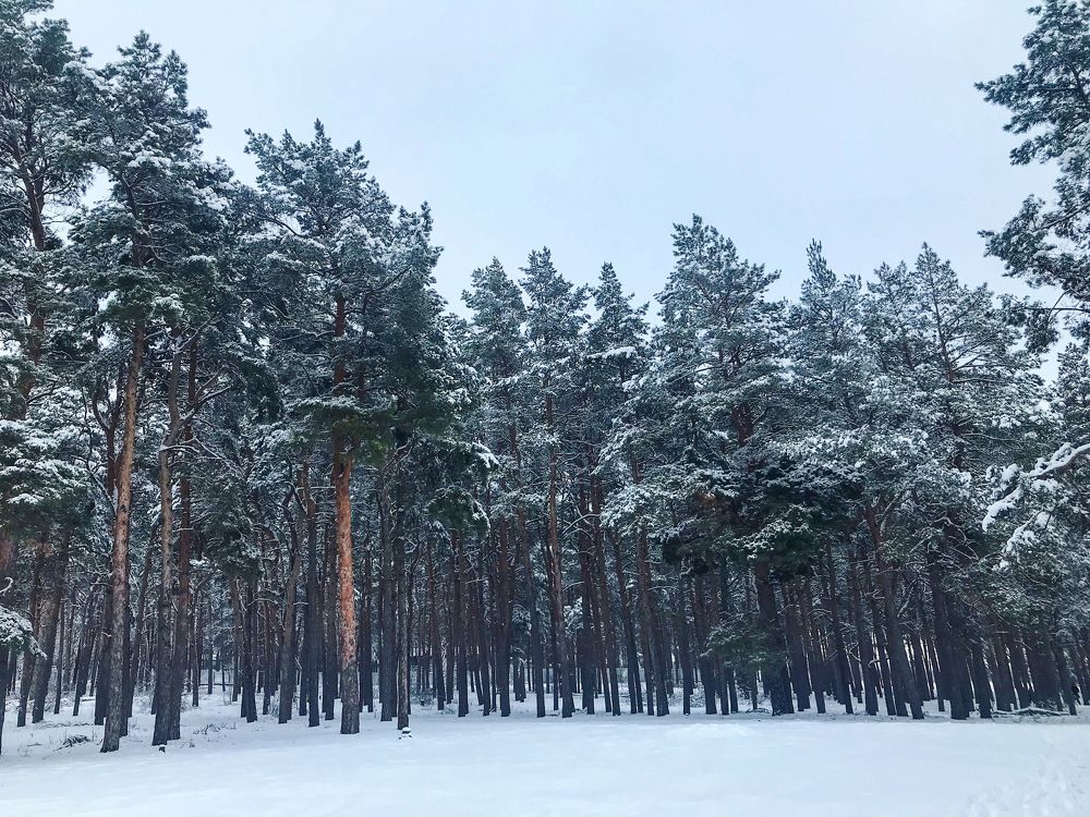 Photograph by Дарья