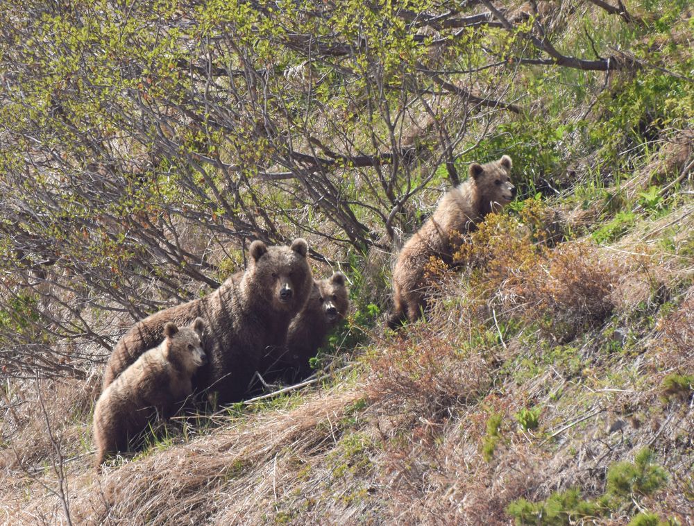 Photograph by Наталья Королева
