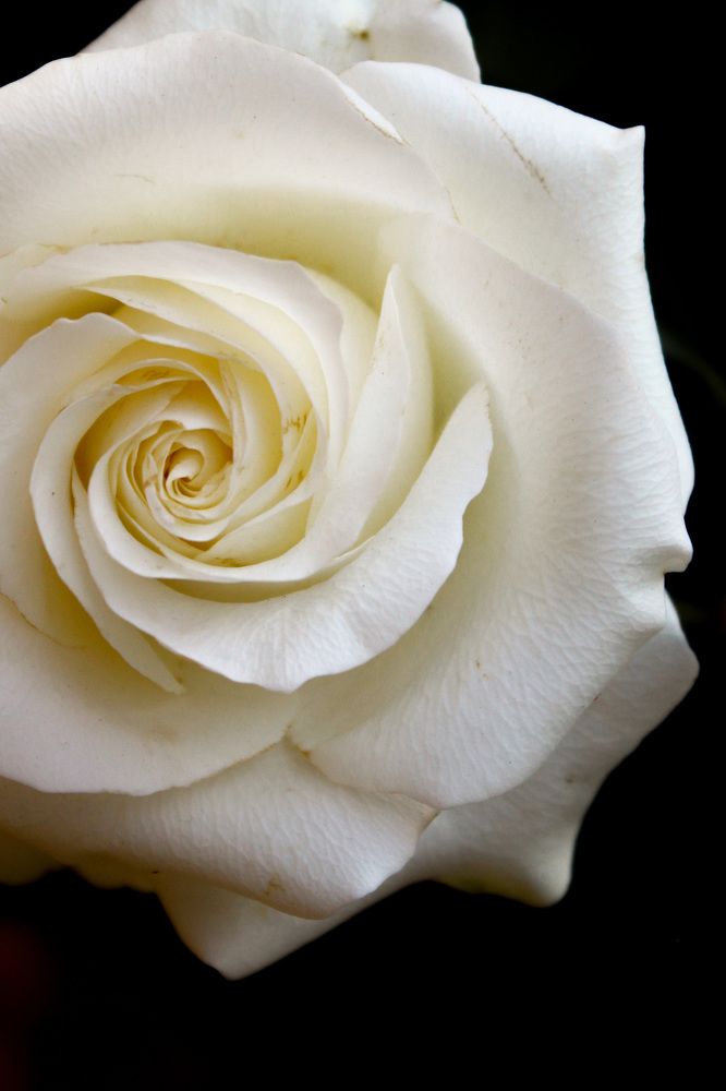 Photograph by Анна Леонова