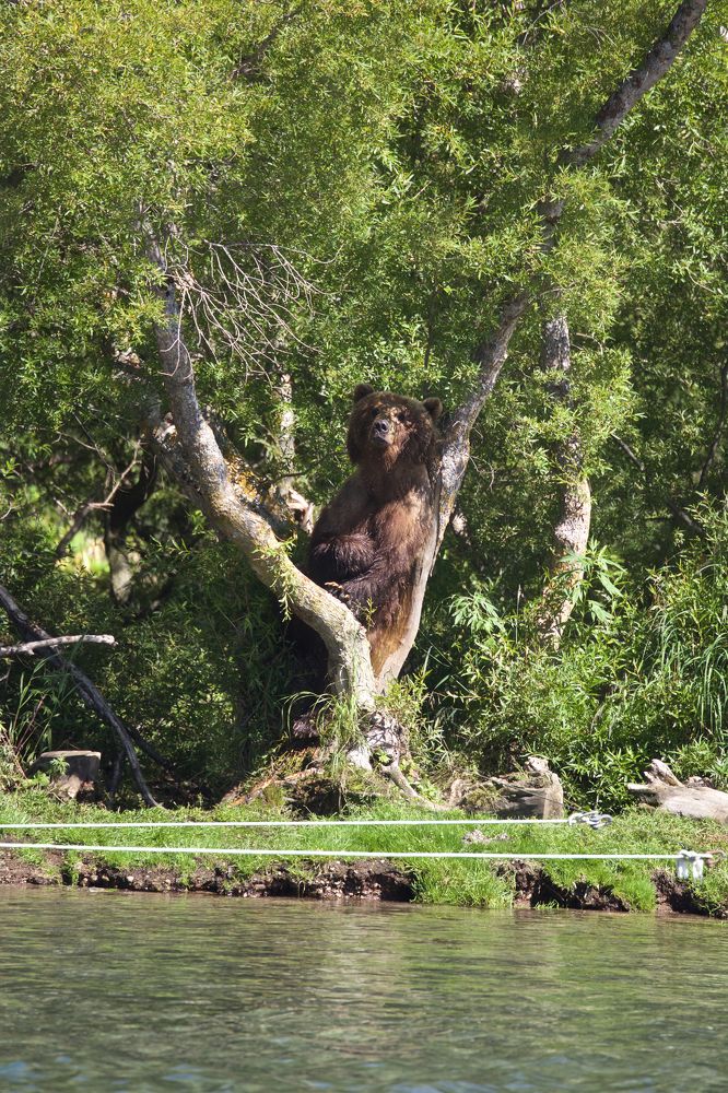 Photograph by Roman Veprentsev