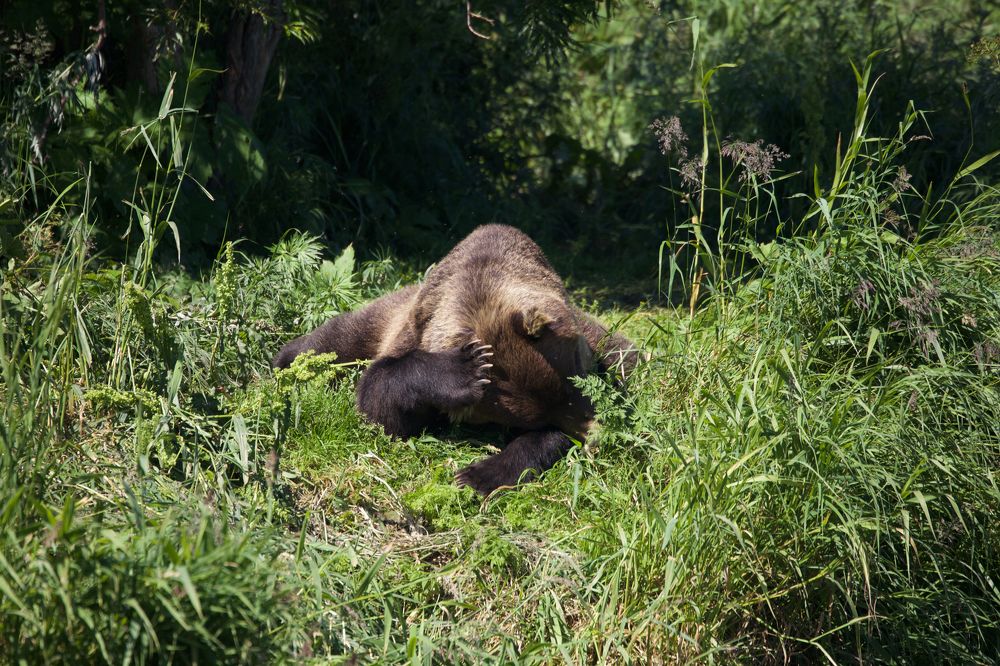 Photograph by Roman Veprentsev