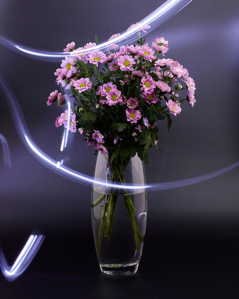 Фотография автора Бороненков Вадим