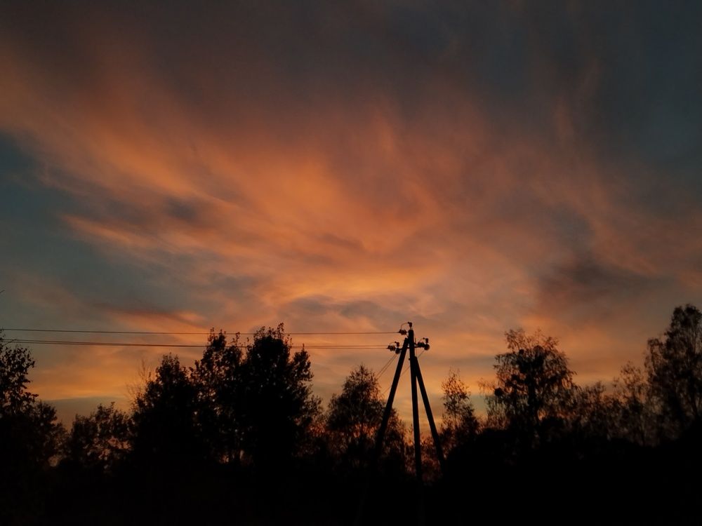 Photo #9011468